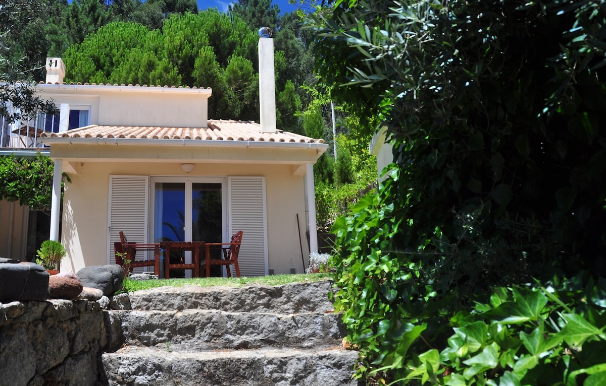 A two-story cottage with a sloped roof is surrounded by lush greenery. A wooden dining table and chairs are set in the outdoor area, inviting meals al fresco. Steps lead up to the main entrance, enhancing accessibility to the property.