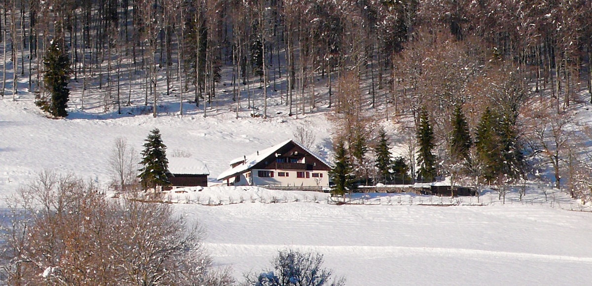 The property is surrounded by a serene snowy landscape, featuring a modern house with a sloped roof. Trees dot the property, providing a natural backdrop, while the area is blanketed in soft, untouched snow, emphasizing the peaceful, rural setting.