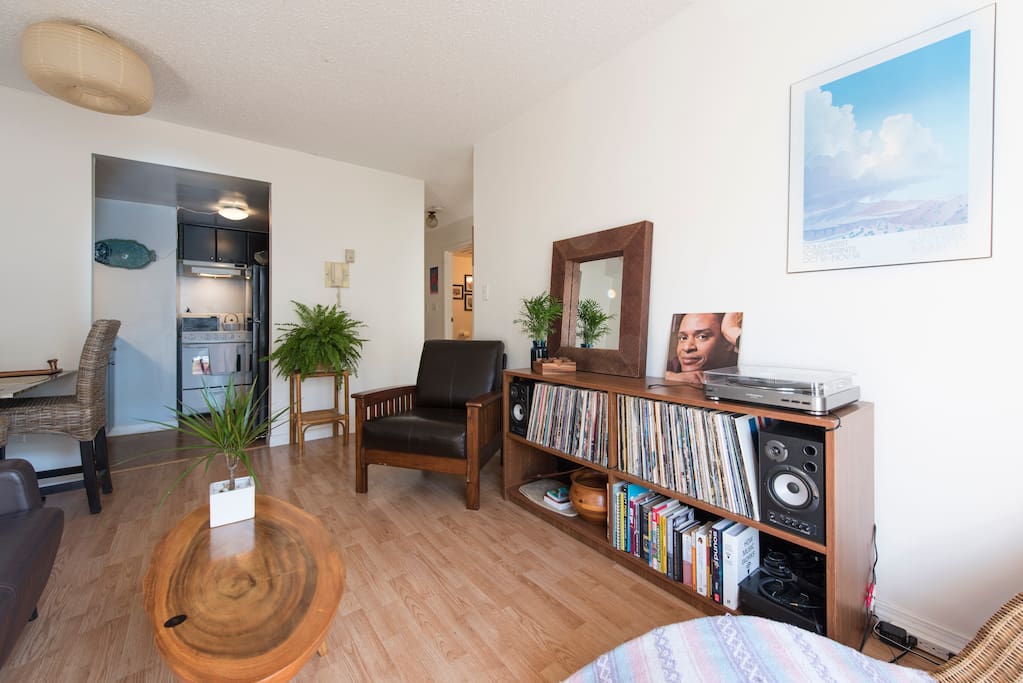 Fully equipped record set up with extensive library