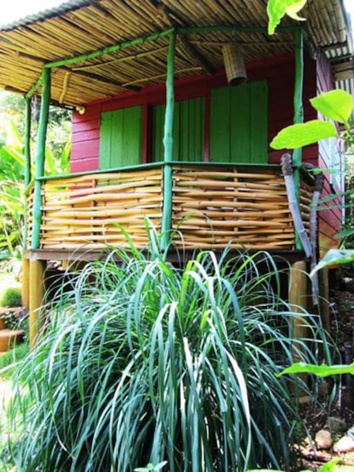 Jungle Shack