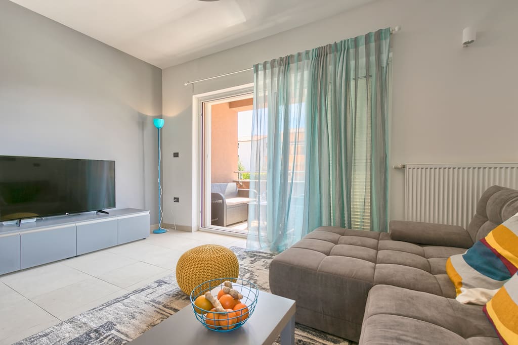 Living room with sofa bed, big TV.