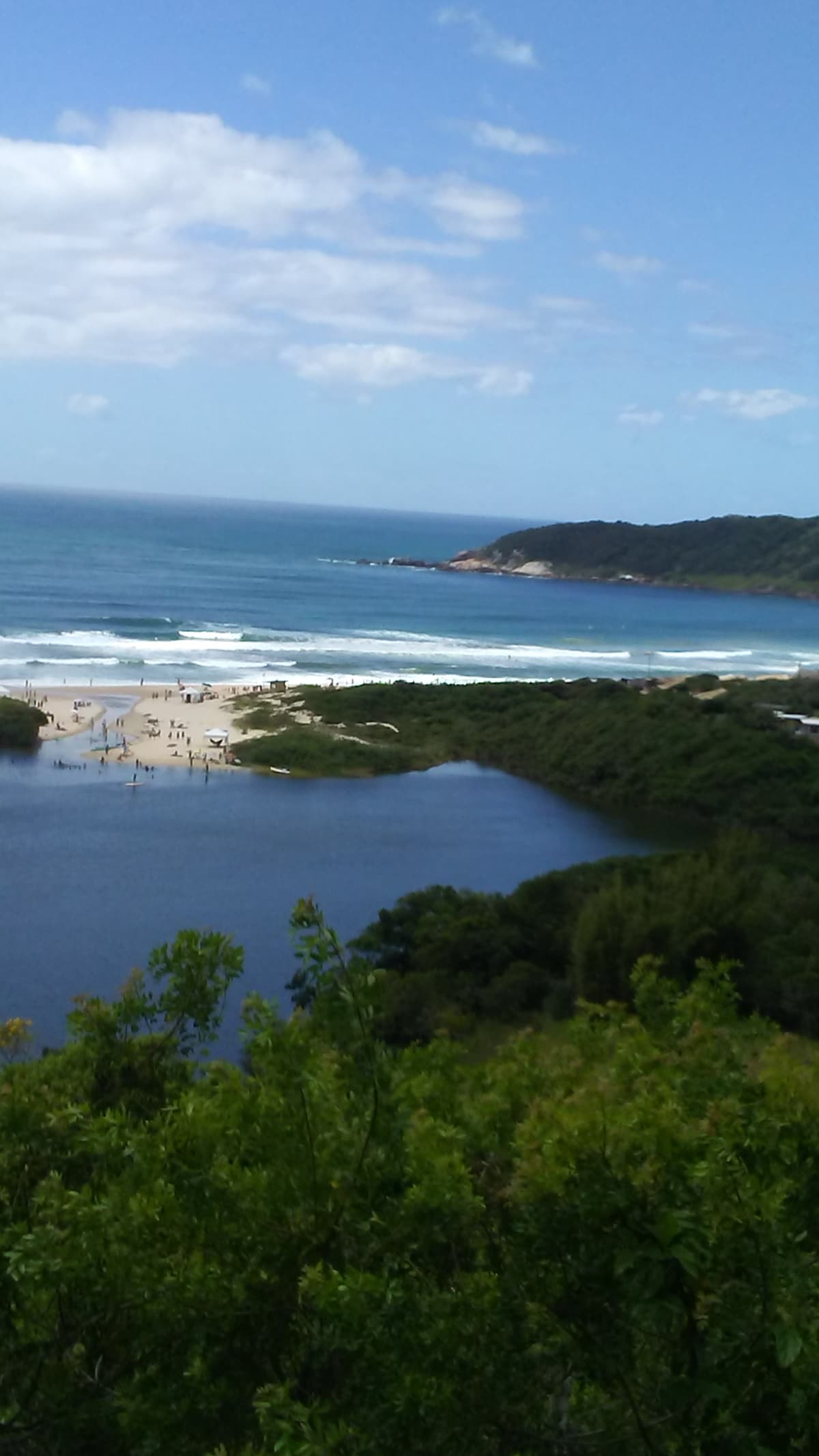 A panoramic view captures the ocean meeting the shore, with gentle waves lapping at the sandy beach. Lush greenery lines the coastal area, with scattered visitors enjoying the scenic landscape. The clear blue sky enhances the tranquil atmosphere of this coastal setting.