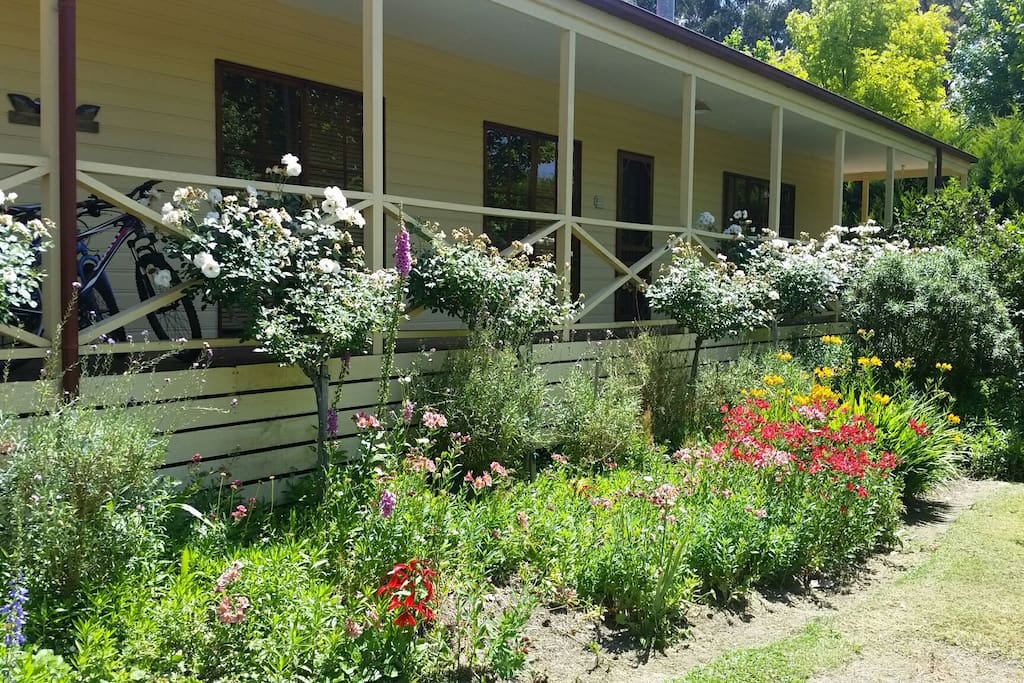 Front aspect & rose garden