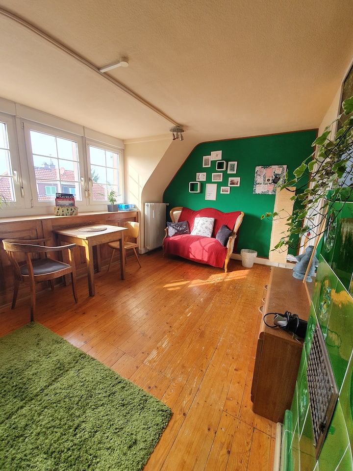 Cozy Double Room Near Neckar & Old Town - Heidelberg