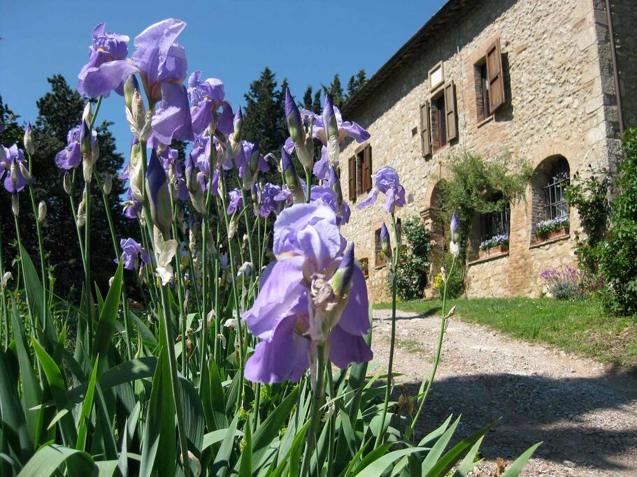 giardino