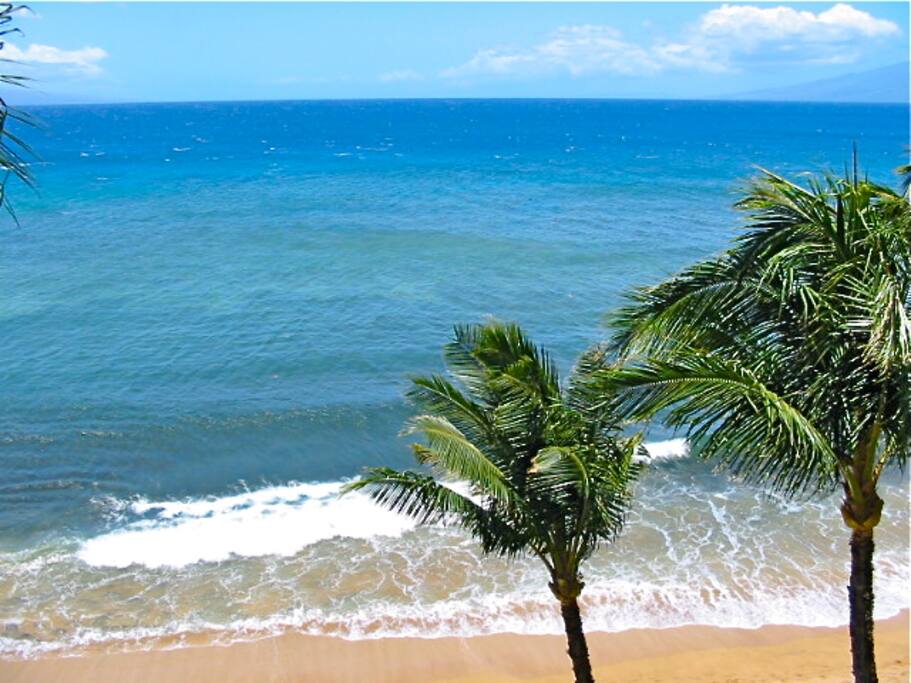 World famous Kaanapali Beach is literally steps in front of the condo