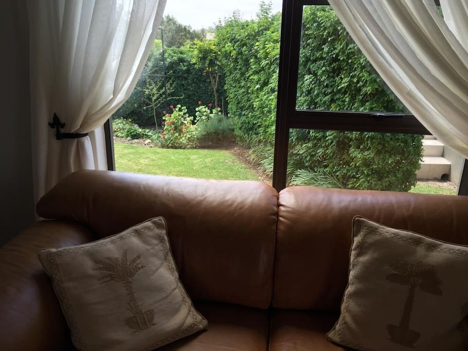 view into the garden