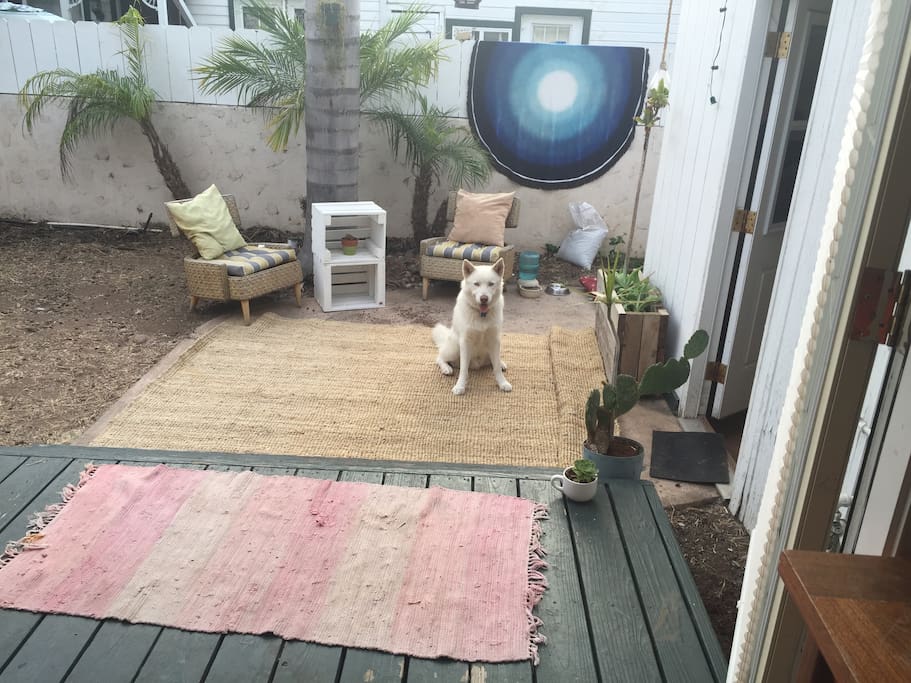 Enjoy our backyard complete with cuddly huskies to keep you company. Garden and hammock added since this photo.