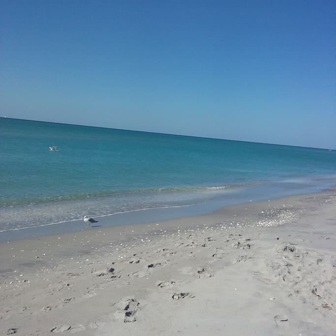 One of Nearby Beaches