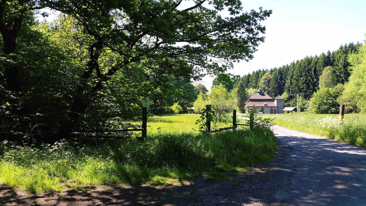 A winding gravel road leads through lush greenery, bordered by trees and wildflowers. In the distance, a charming house is nestled among the trees, creating a serene and inviting atmosphere. The scene captures the beauty of nature in a tranquil setting.