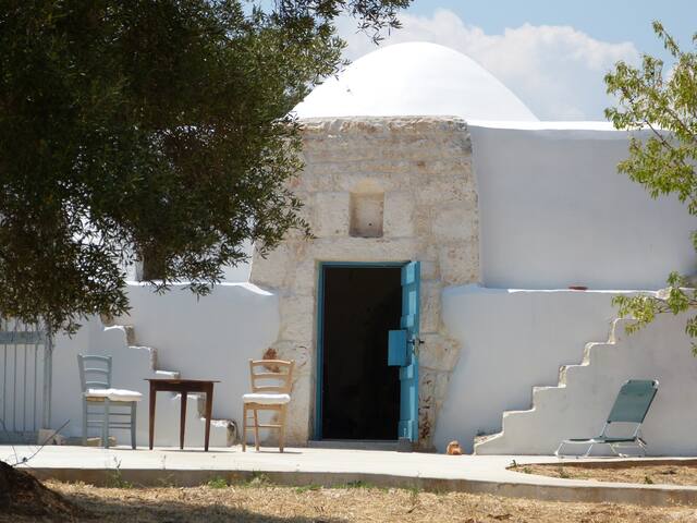 trullo dell’albero bianco gallery image 5