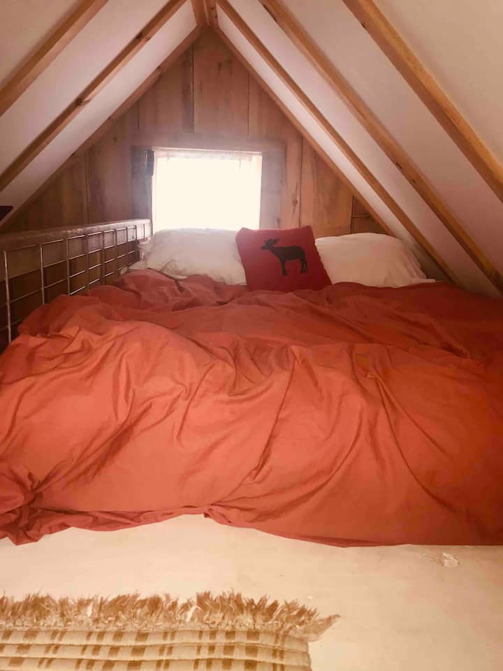 Bedroom area
