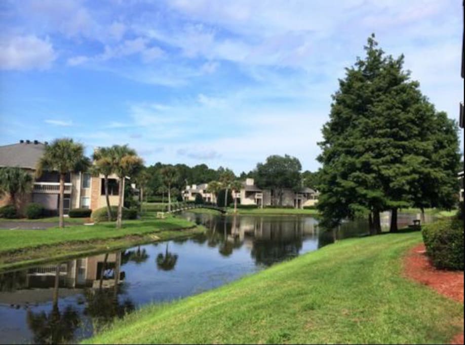 Top 100 Airbnb Rentals in Jacksonville, Florida