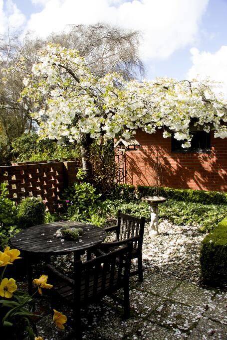 Rear garden entrance