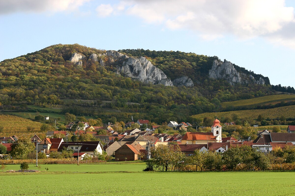 A quaint village sits at the foot of a lush green mountain, characterized by rocky cliffs. Houses with varying rooftops are lined along the valley, with vineyards in the background. The landscape is enhanced by patches of greenery and a clear sky with soft clouds.