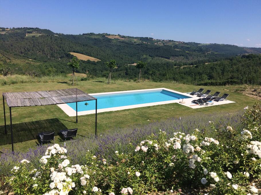 piscine 13x5 m / jardin inférieur orienté au soleil couchant