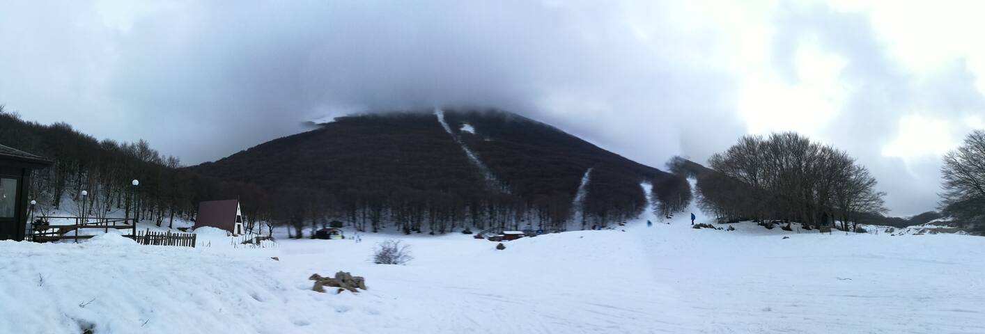 feel at home when you're out