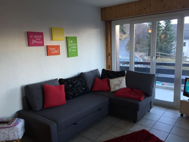 charming 2 bedroom apartment in Nendaz