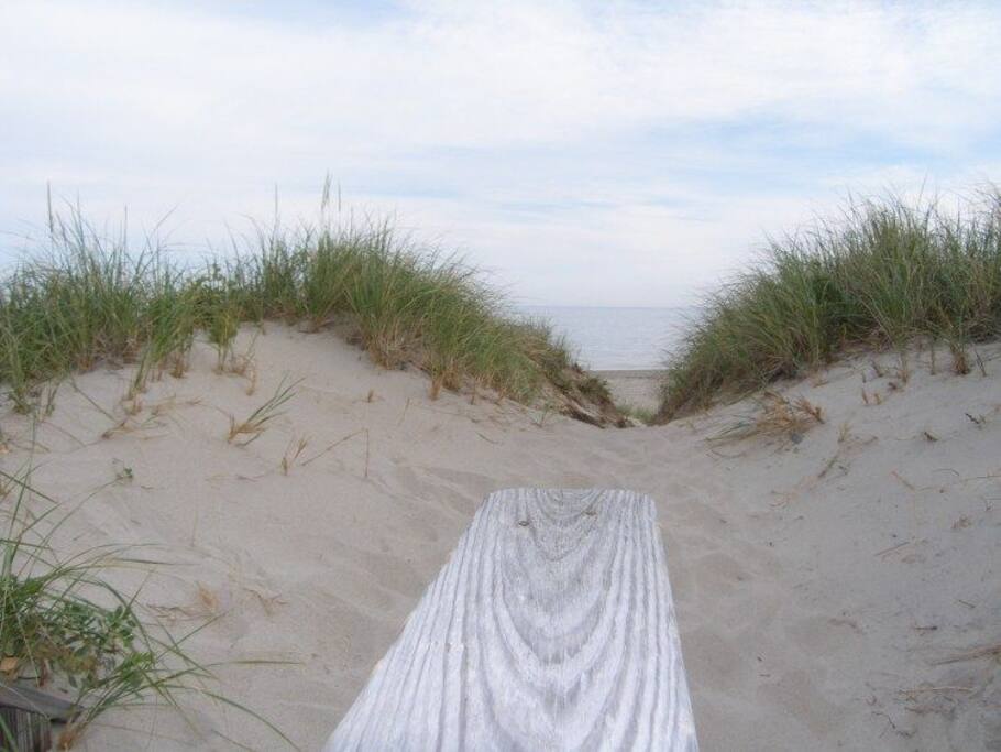 Walkway to the water