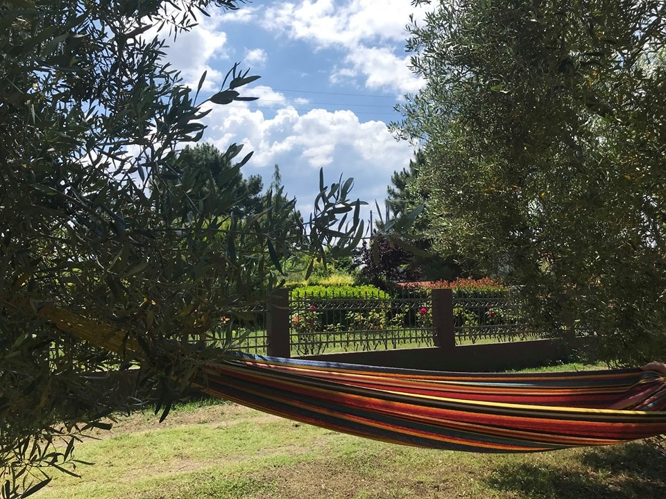 A colorful hammock is gently cradled between two olive trees, set against a backdrop of a lush garden. Bright clouds pass overhead, and greenery frames the view, creating a serene space ideal for relaxation.