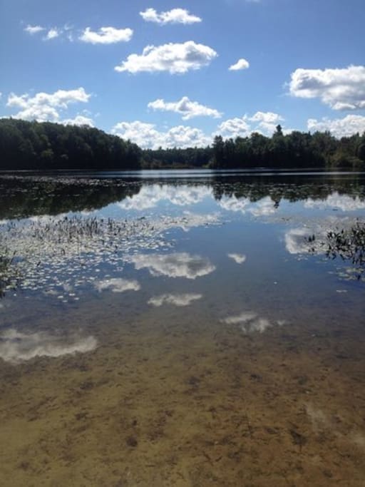 Vintage RV in Woods on Private Lake Tiny houses for Rent in Cedar
