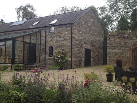 Donegal Cottage in lush countryside
