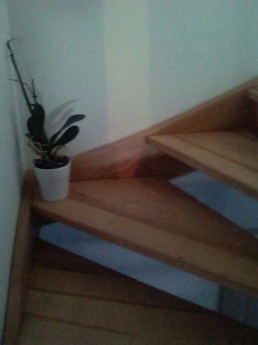 escalier
