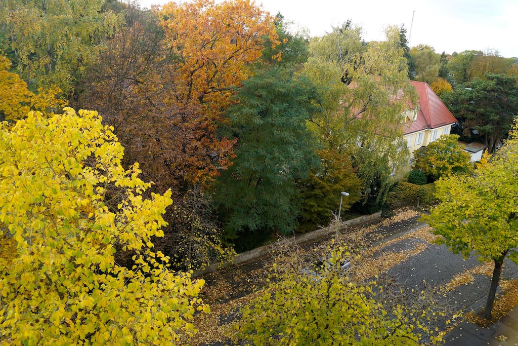 Schlafzimmer Ausblick/ bedroom view Sommer/ summer