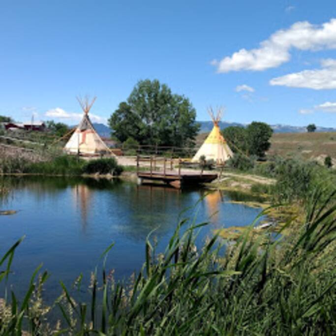 Trout Pond for Customers