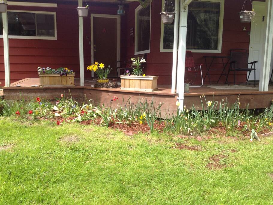 Another picture of the front of the house.