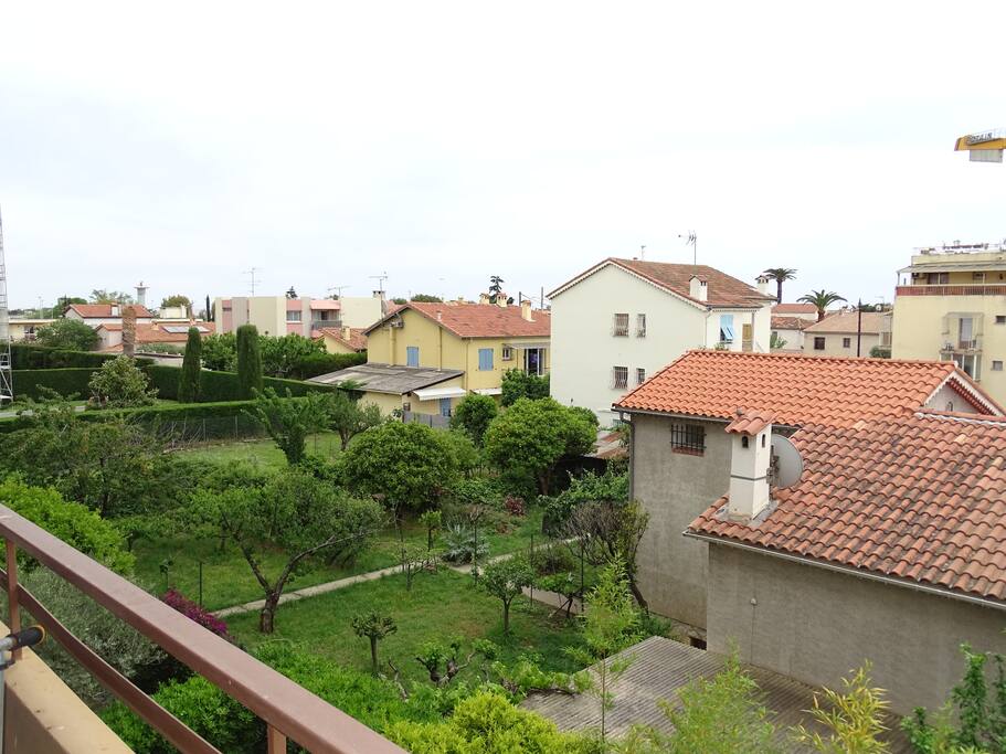 Vue dégagée sur le verger