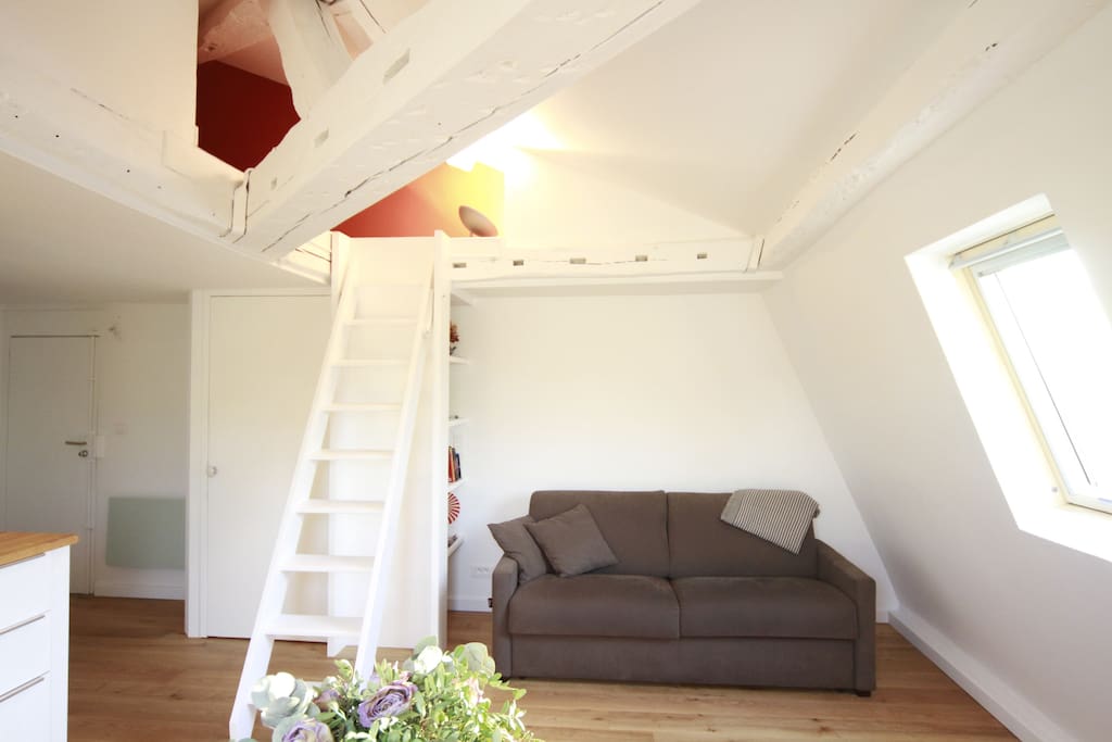 Secured access to the mezzanine by an integrated ladder and double sofa bed.