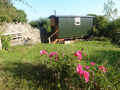 Successful Airbnb property: Hut on the Hill Holidays in Cheddar