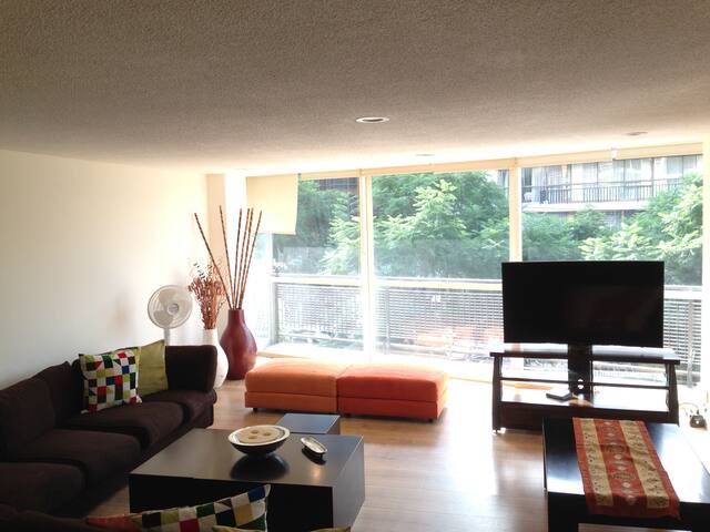 Light, Spacious and Trees View Apartment gallery image 2