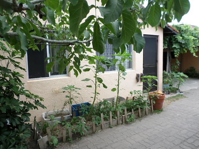 In the outskirts, near the coast and the airport 3