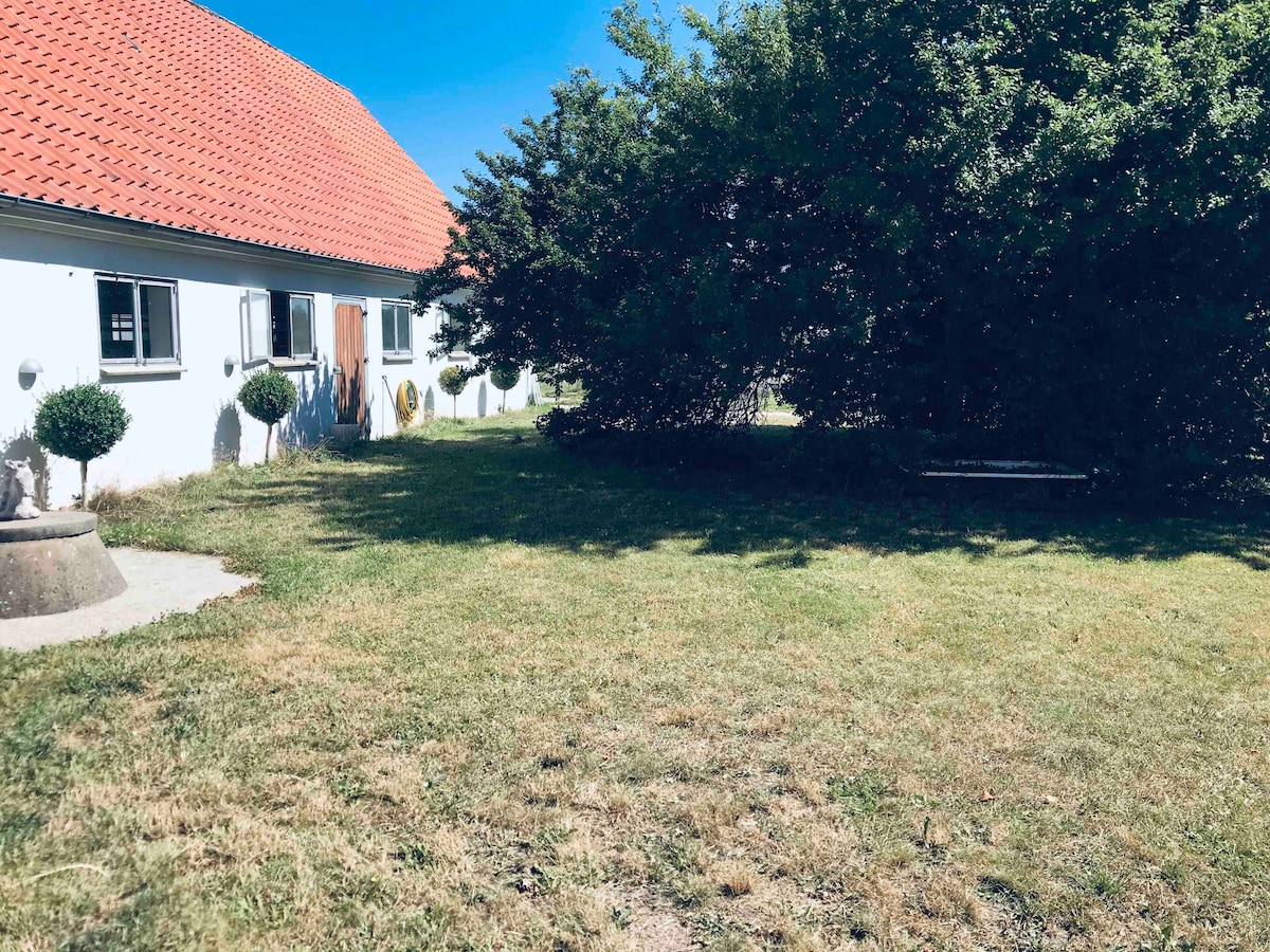 A grassy area surrounds a white building with a red-tiled roof. Shrubs and small trees provide shade along one side. Sunlight illuminates the space, creating a serene outdoor setting. A stone feature is visible in the foreground, enhancing the landscape's natural appeal.