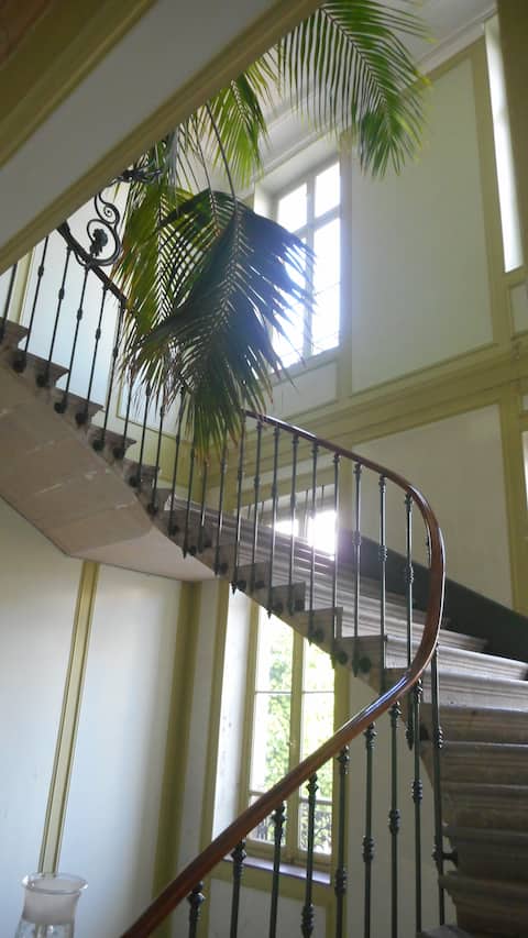 Grande chambre individuelle, agréable et centrale