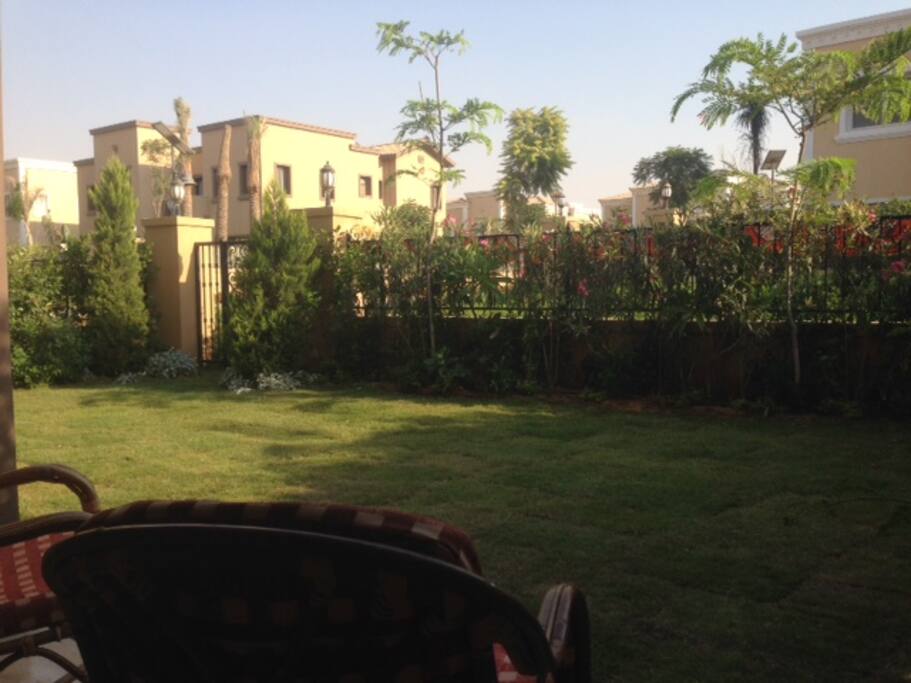 Back yard