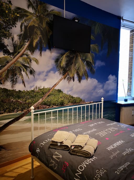 Nice beachview from your bed with cable television