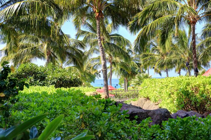 Honua Kai – K103 Ground Floor – steps to the pools gallery image 5