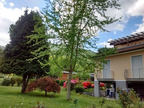 Spacious apartment with garden on Lugano lake.