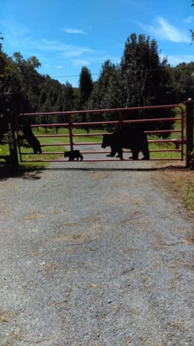 Gate to Pleasant Hill