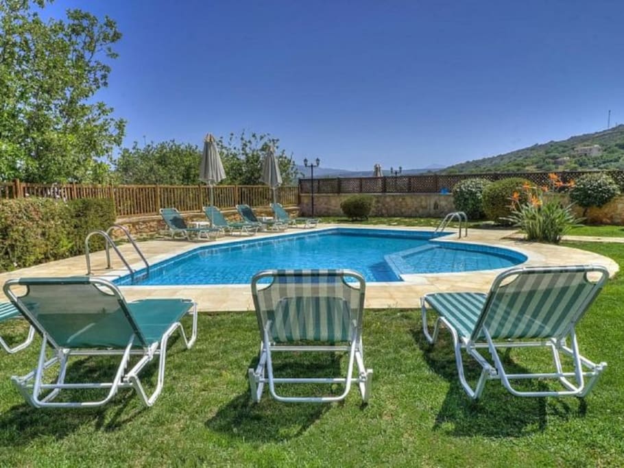 Pool / Garden Area