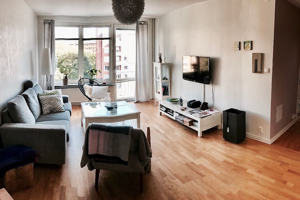 Living room and entrance