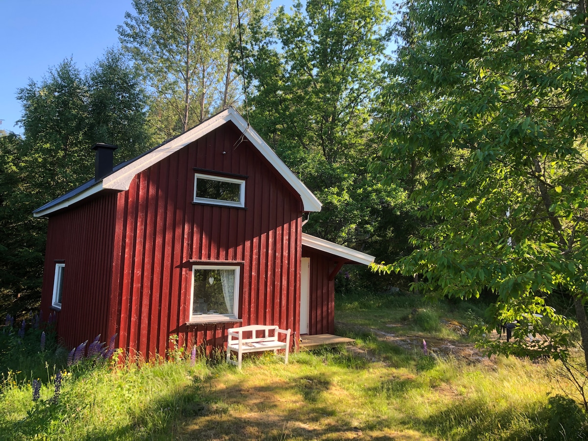A red wooden cabin is surrounded by trees and greenery. The structure features a sloped roof and a large window framed by white trim. A small white bench is positioned in front, overlooking the natural landscape.