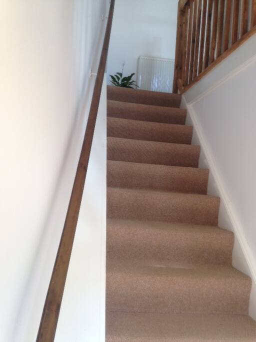 Stairs to lounge