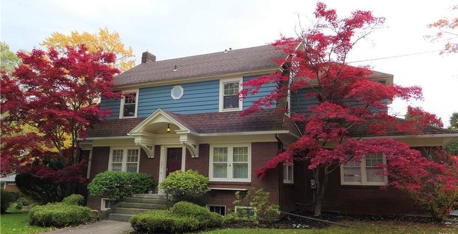 The Lotus Room - a meditation vegan abode