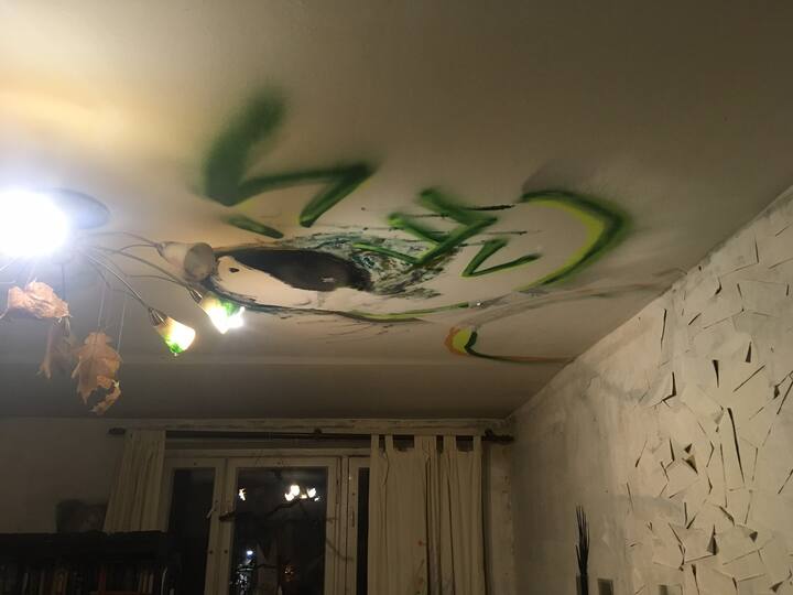 Таван на голема соба