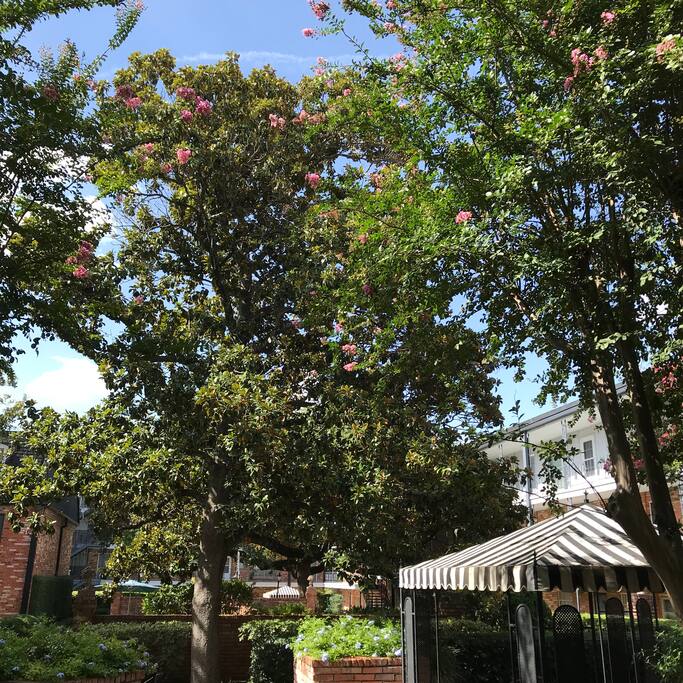 Gorgeous New Orleans style Courtyard