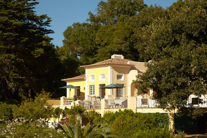 Quinta Matalva with views on Monserrate forest gallery image 4